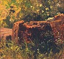 Still-life with a Rock